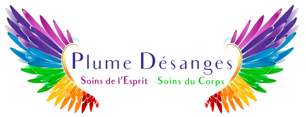 Logo de Plume Désanges, centre de bien être à La Roche-sur-Yon