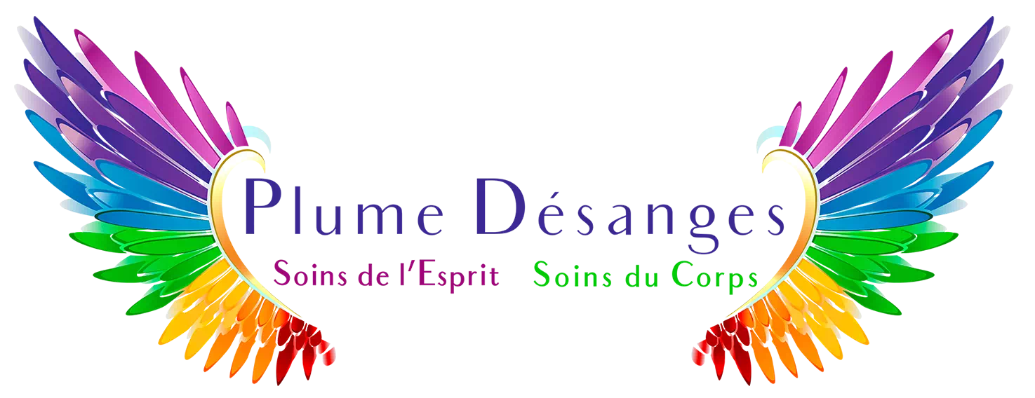 Logo de Plume Désanges, centre de bien être à La Roche-sur-Yon