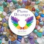 Plume Désanges